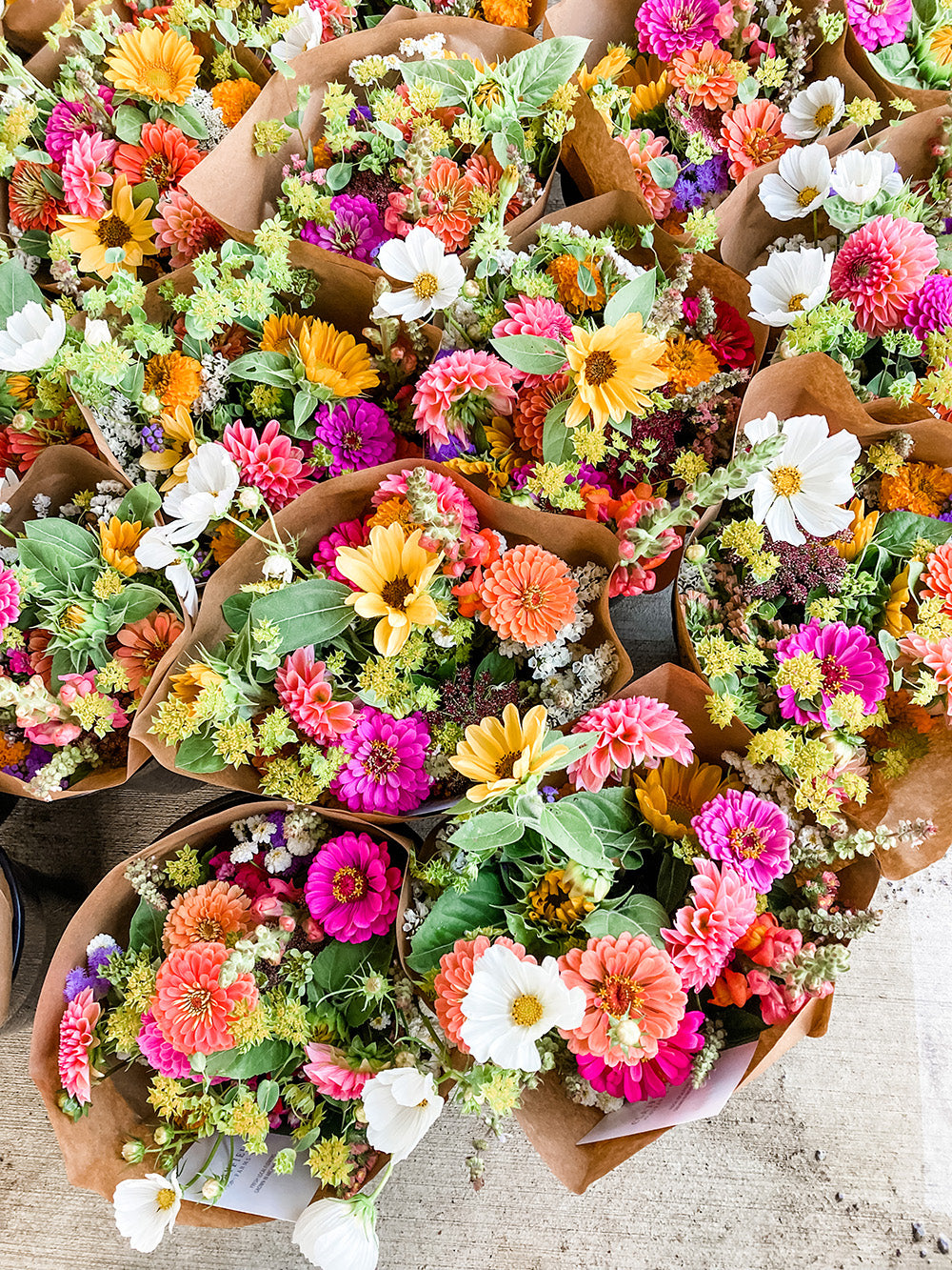 Bryan Summer Subscription – Clayfield Farms