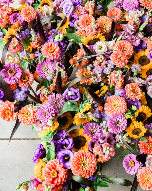 Biweekly Summer Subscription - Archbold