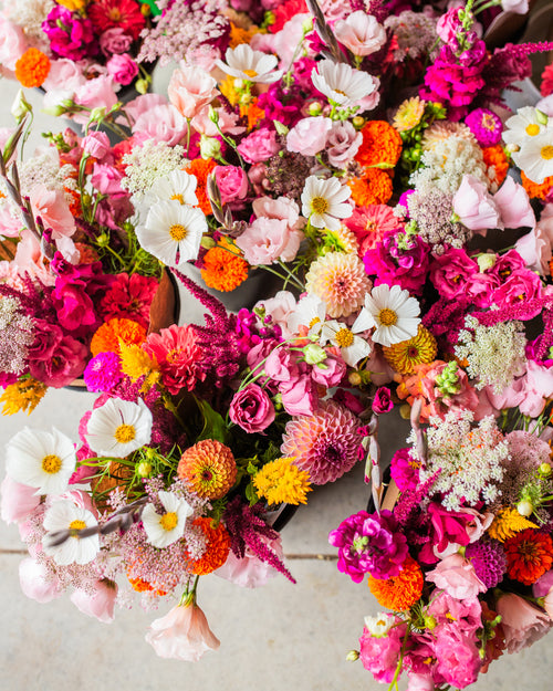 Monthly Summer Subscription - Archbold