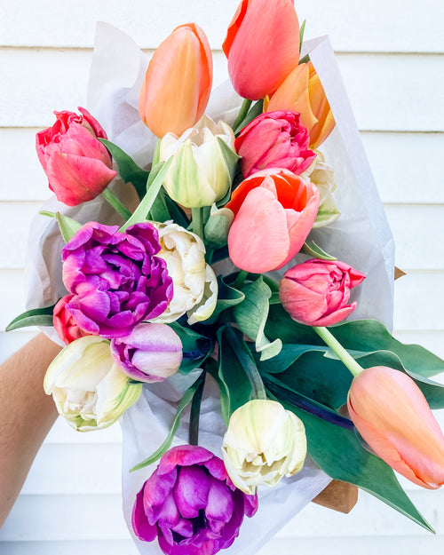 2024 Mothers Day: Tulip Bouquet