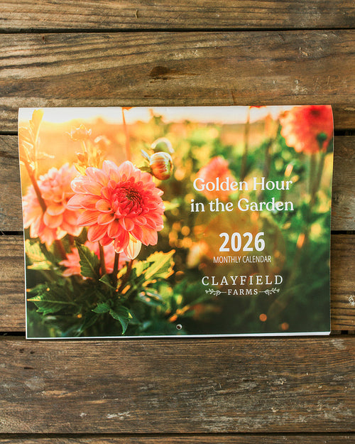 2026 Monthly Calendar