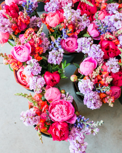 Late Spring Subscription