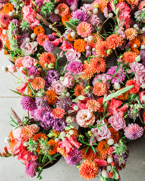 Wauseon Summer Subscription