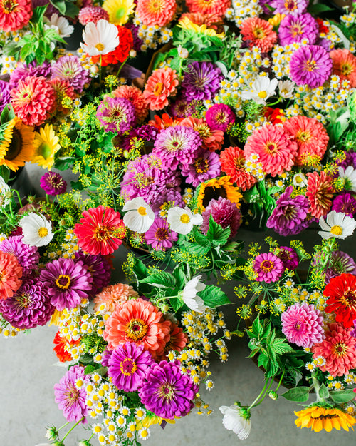Monthly Summer Subscription - Archbold