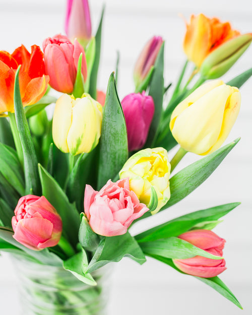 Valentine Tulip Arrangement